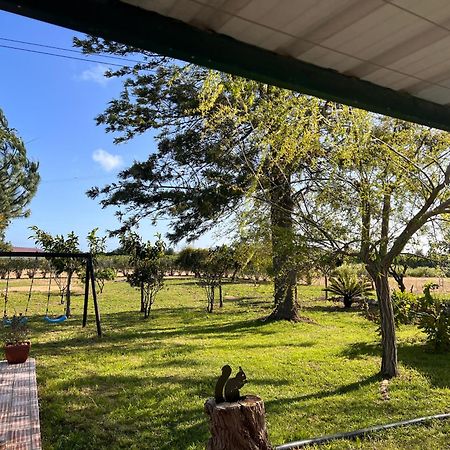 Вилла Quinta Dos Viegas Фару Экстерьер фото
